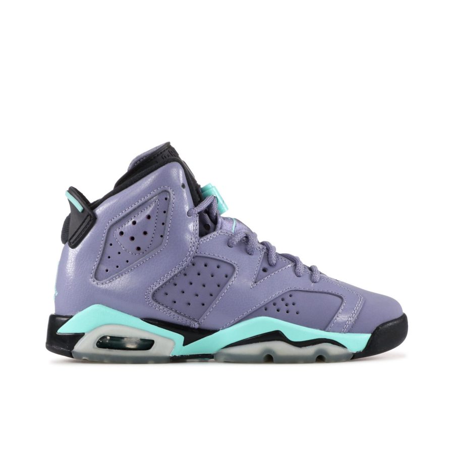Air Jordan 6 Retro Gg Iron Purple 543390-508