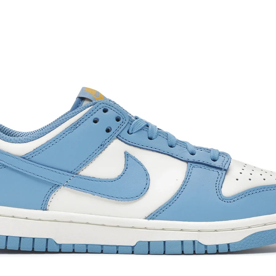 Nike Dunk Low Coast (womens)