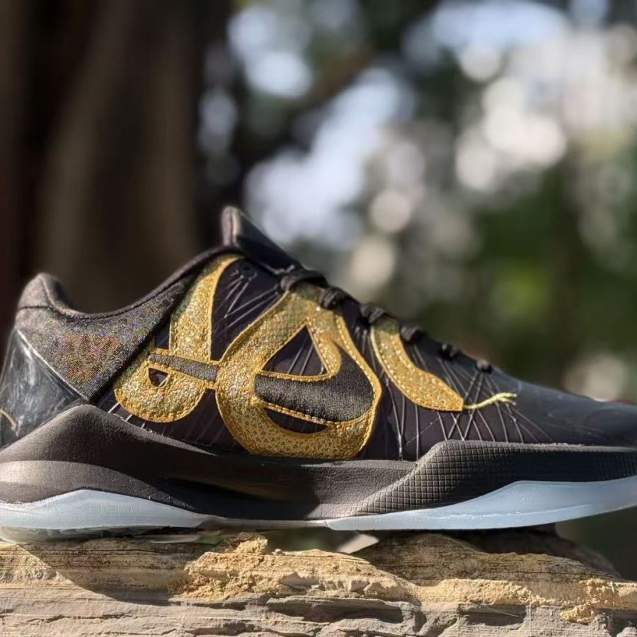 Nike Kobe 5 Protro Year of the Mamba