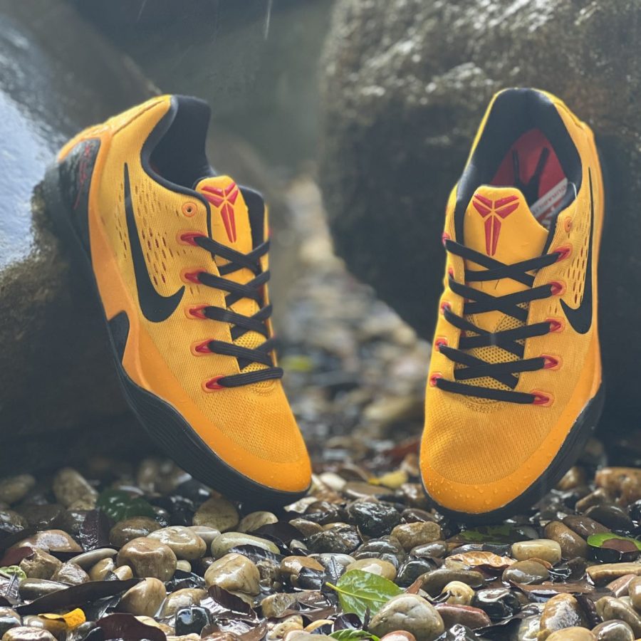 Nike Kobe 9 Low Bruce Lee